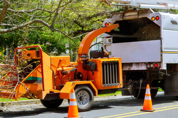 Best Tree Mulching  in Stone Ridge, NY